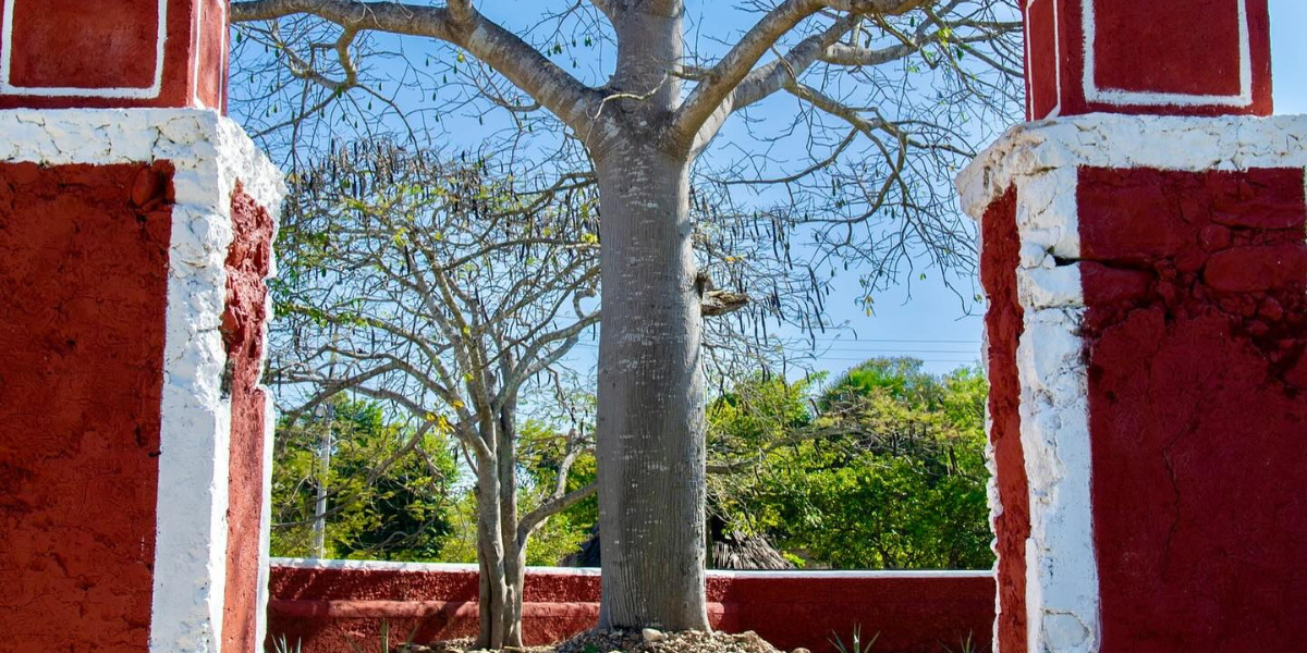 San-Ignacio-De-Oxholon-venue -01 (8)