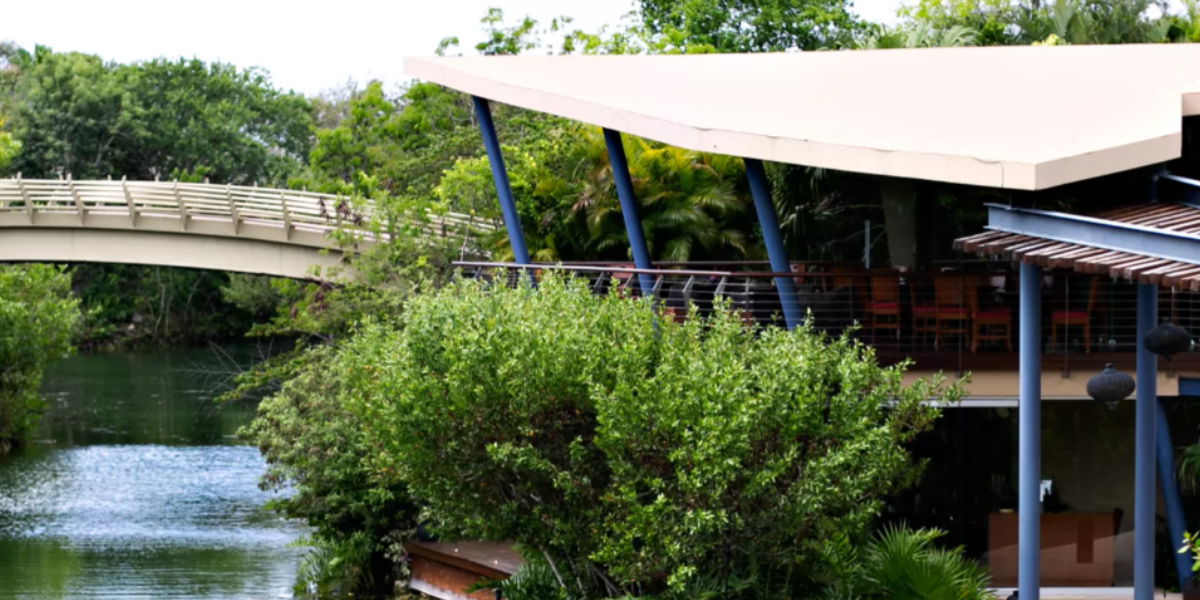 agave-deck-03