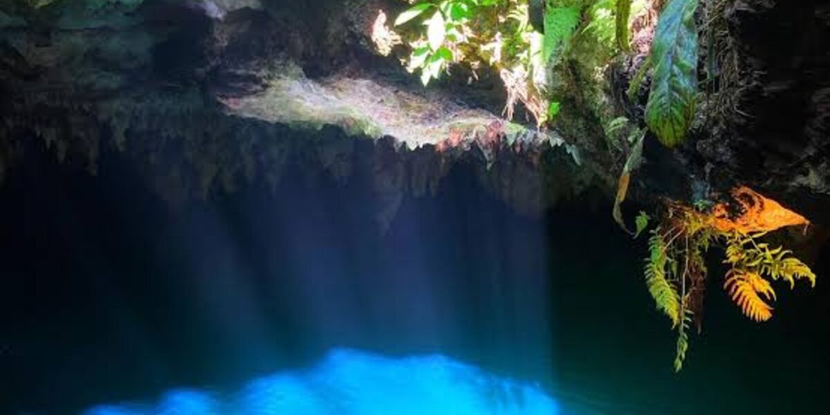 cenote-elvira-09.jpg