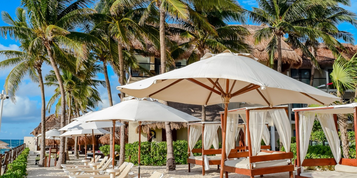 the-reef-coco-beach-areas-01