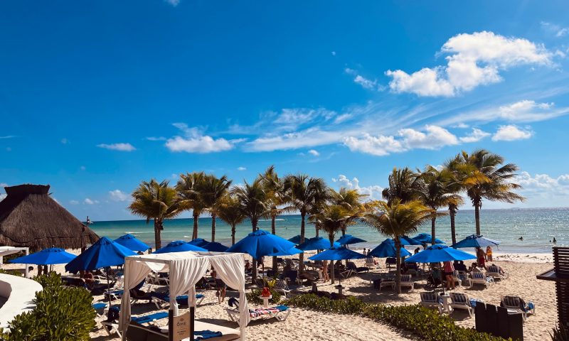 the-reef-playacar-areas-001