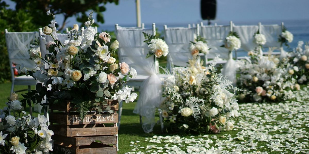 xiaoyu-li-R-7I1_ut6Ps-unsplash